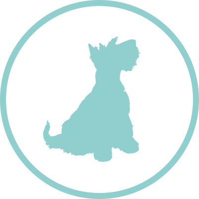Small dog grooming prices icon