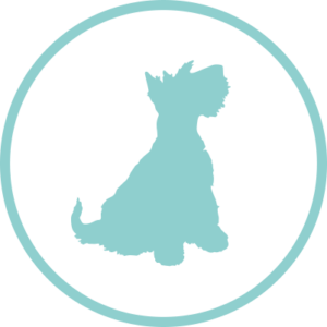 small dog groom prices icon