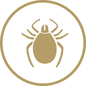 Tick and flea symbol